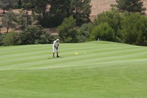 Golfer auf dem Grün